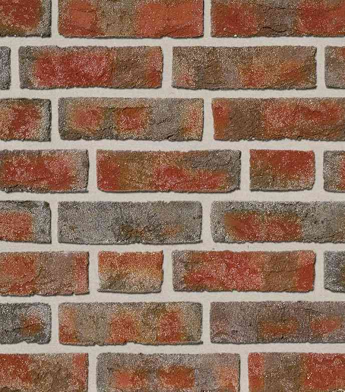 Formback buntgeflammt
